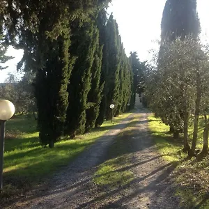 Sunshine Italia