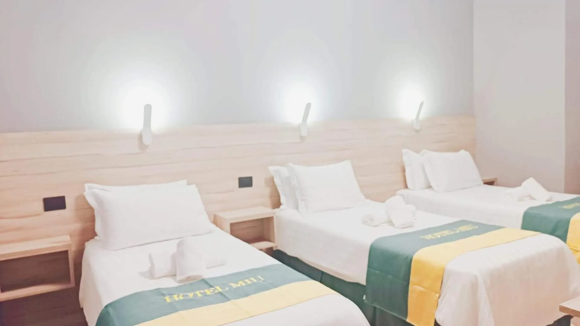 Miu Hotel ميلان